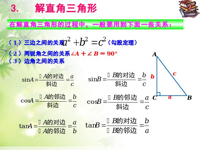 初三下册数学《锐角三角函数复习题28》数学第10页