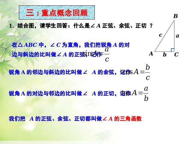 初三下册数学《锐角三角函数复习题28》数学第4页