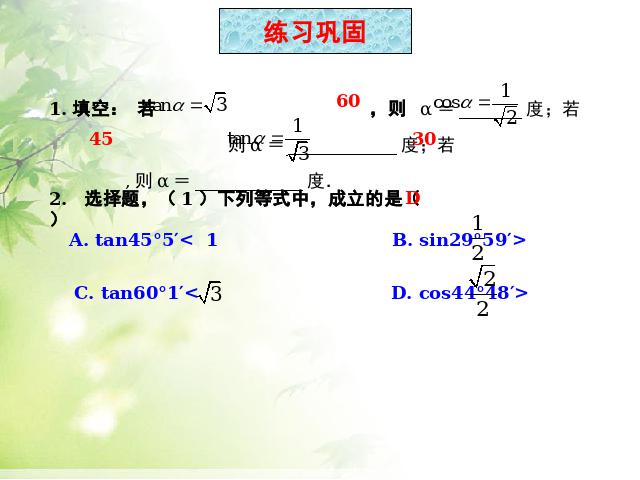 初三下册数学《锐角三角函数复习题28》数学第8页