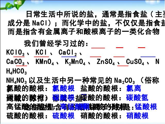 初三下册化学《课题1生活中常见的盐》化学第2页