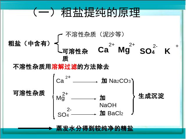 初三下册化学《实验活动8:粗盐中难溶性杂质的去除》化学第9页